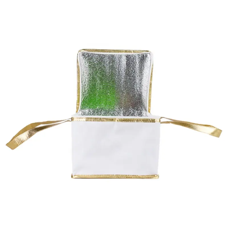 Food Cooler Bag For Cake