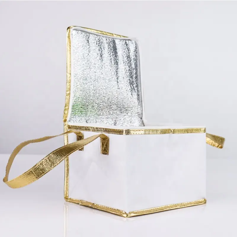 Food Cooler Bag For Cake